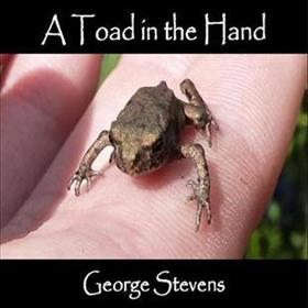George Stevens - A Toad In The Hand