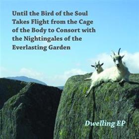 Until The Bird... - Dwelling