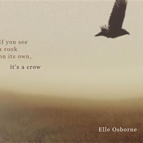 Elle Osborne - If You See a Rook on Its Own, It’s a Crow