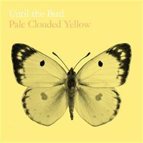 Until The Bird... - Pale Clouded Yellow