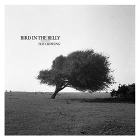 Bird In The Belly - The Crowing