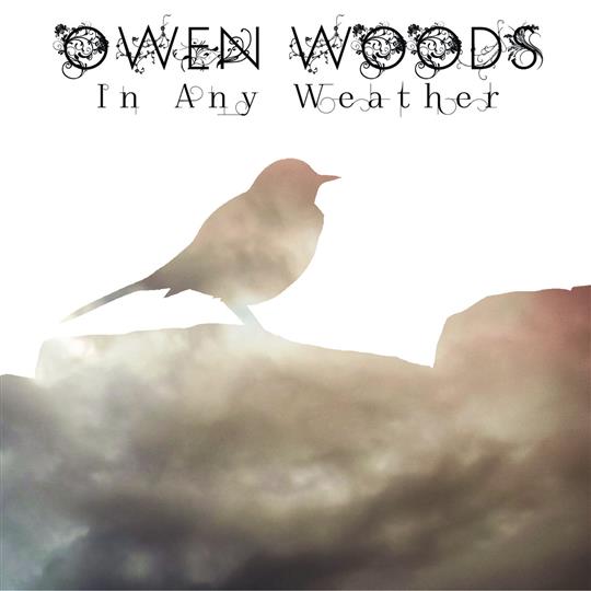 In Any Weather - Owen Woods